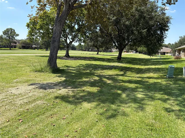 a view of a field with a tree