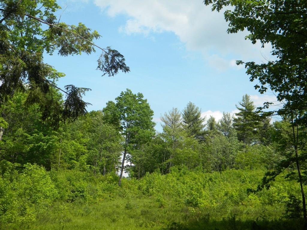 Lot 6 Old Meetinghouse Road Porter, ME 04068 - Photo 2 of 16 Photo
