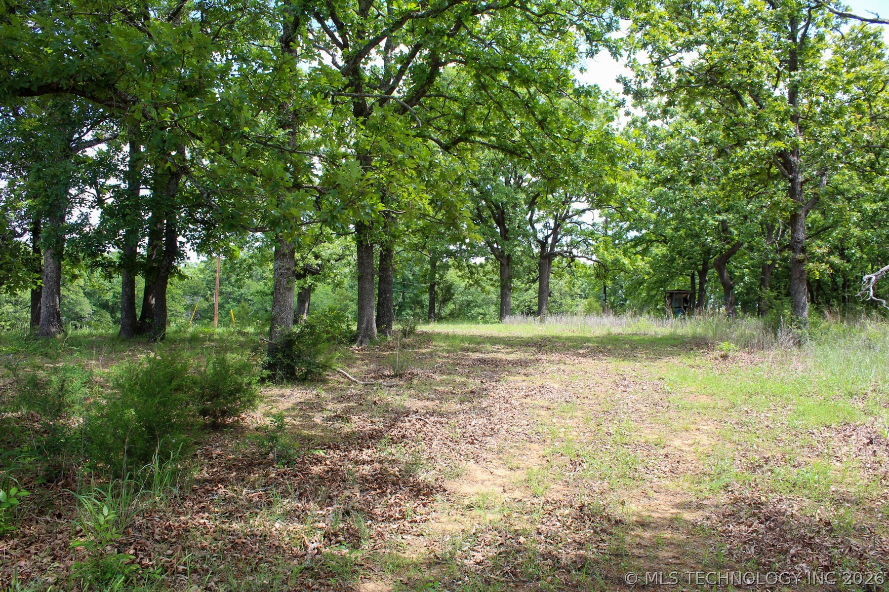 13248 North 3540th Road Maud, OK 74854 - Photo 94 of 98 Wooded lot featuring mature trees and a clearing