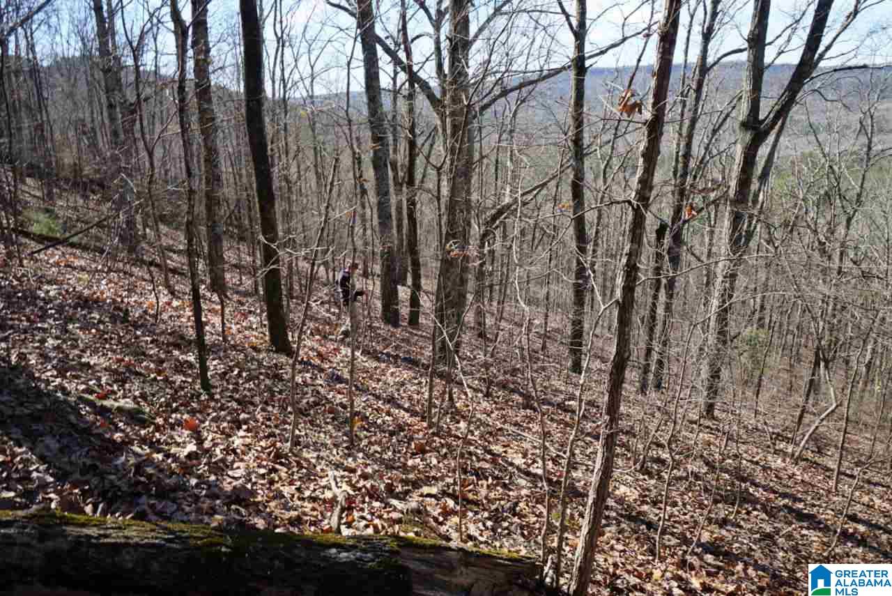 Mystic Valley View, Unit 1 Sterrett, AL 35147 - Photo 7 of 33