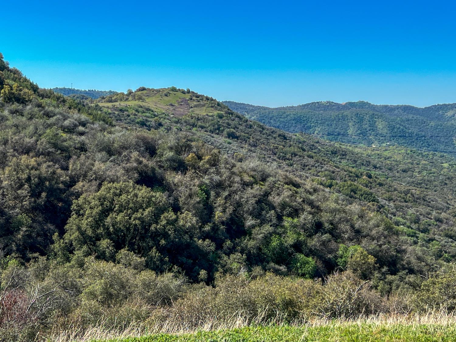 44981 Todd Eymann Road Dunlap, CA 93621 - Photo 60 of 74 Gallery Image 60