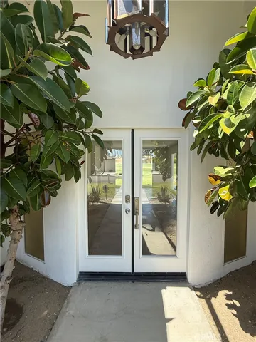 a view of a potted plant in front of a room