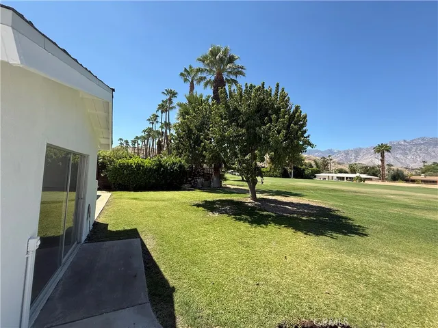 a garden with trees in the background