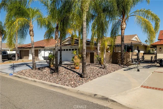 a row of palm trees sitting in front of a house