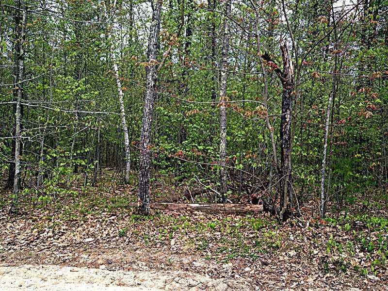 0 Johnson Road Gray, ME 04039 - Photo 3 of 6 Land.