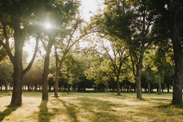 a view of a playground with basketball court