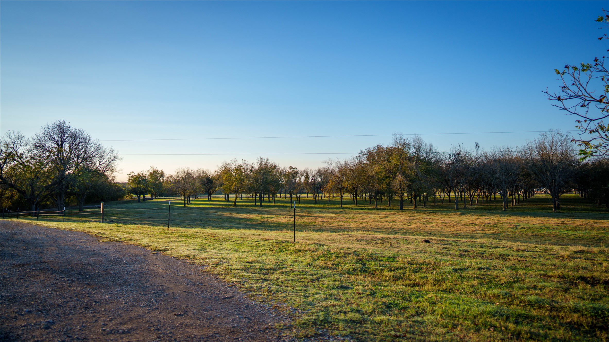 8323 East State Highway 29 Georgetown, TX 78626 - Photo 38 of 39 a view of outdoor space with swimming pool and trees in the background