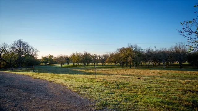 a view of park with bench and trees around