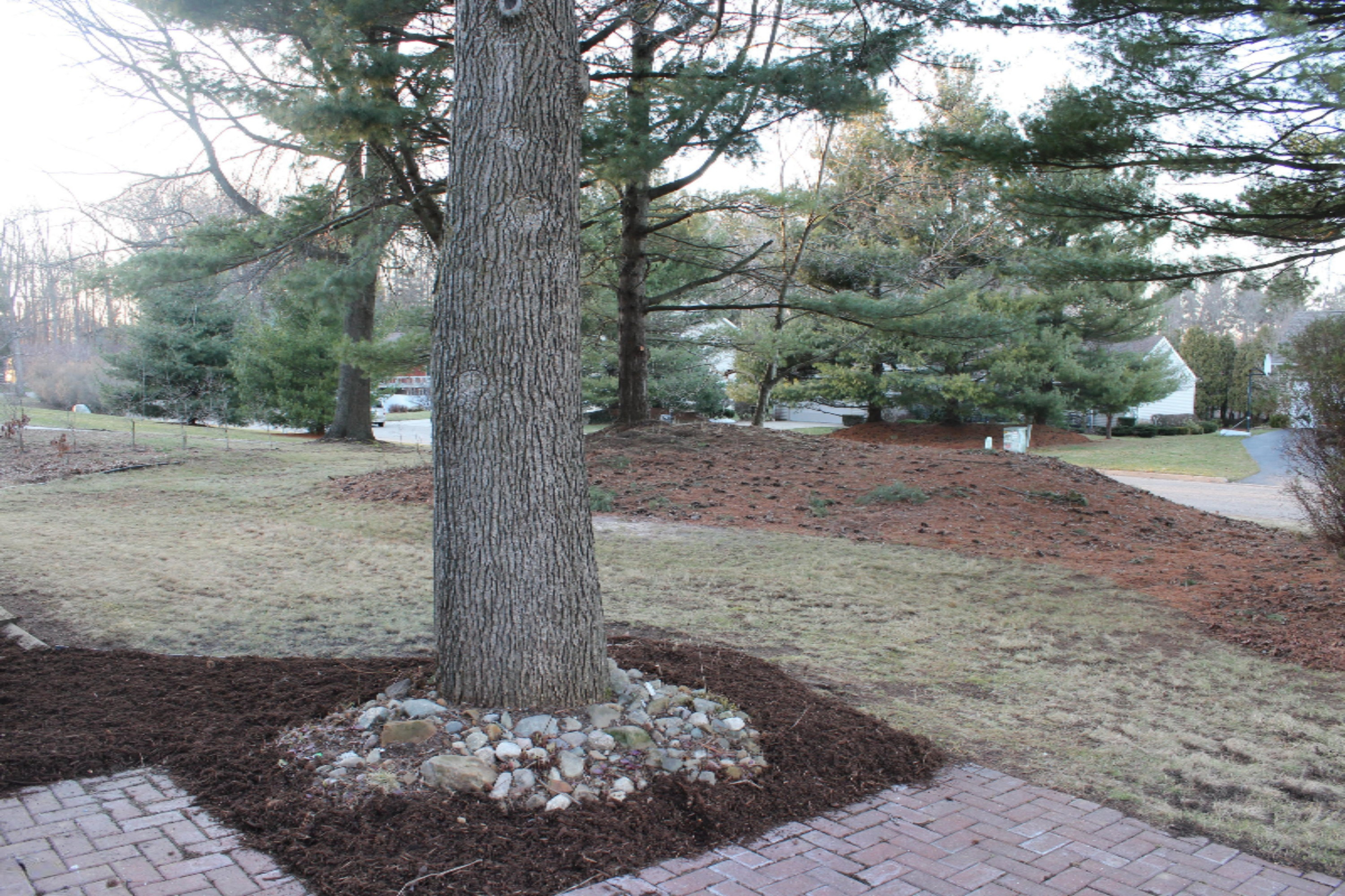 1401 O Keefe Road Marshall, MI 49068 - Photo 5 of 52 Exterior