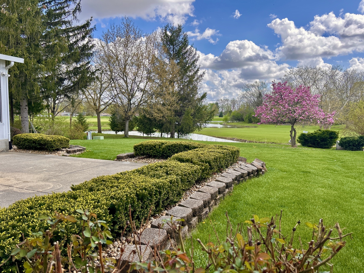 909 Surrey Road Addison, IL 60101 - Photo 4 of 27