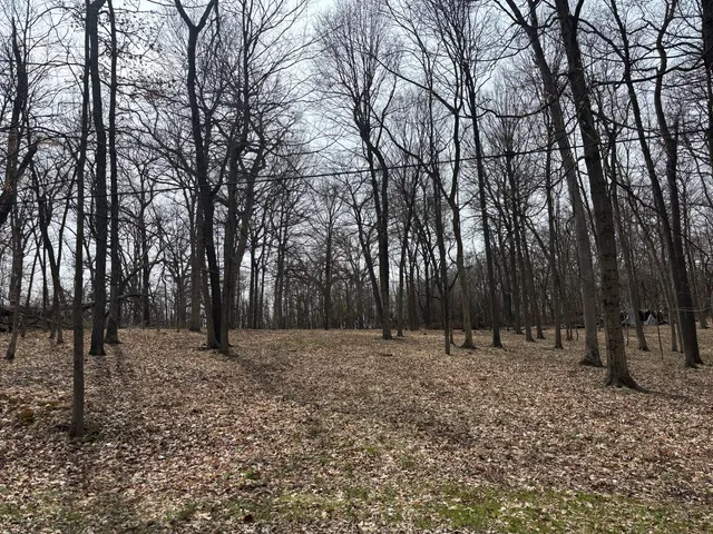 a backyard of a house with lots of trees