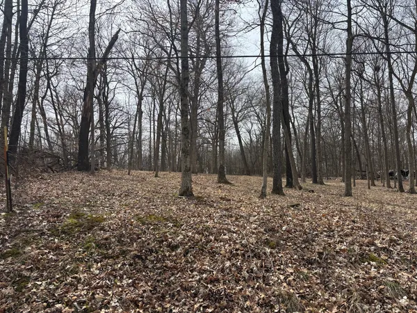 $29,000 | 1730 Tanglewood Drive, Varna, IL 61375