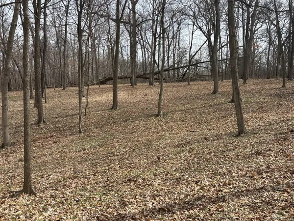 $29,000 | 1730 Tanglewood Drive, Varna, IL 61375