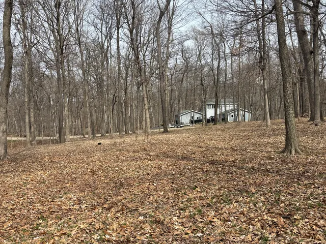 a backyard of a house with lots of green space