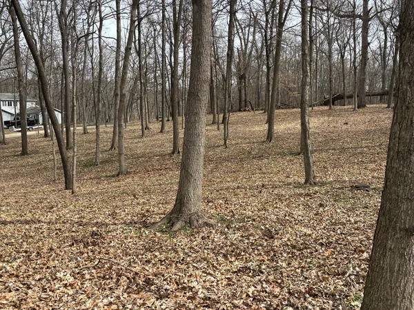 $29,000 | 1730 Tanglewood Drive, Varna, IL 61375