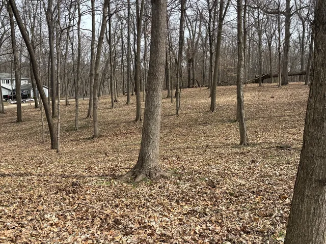 a backyard of a house with lots of green space