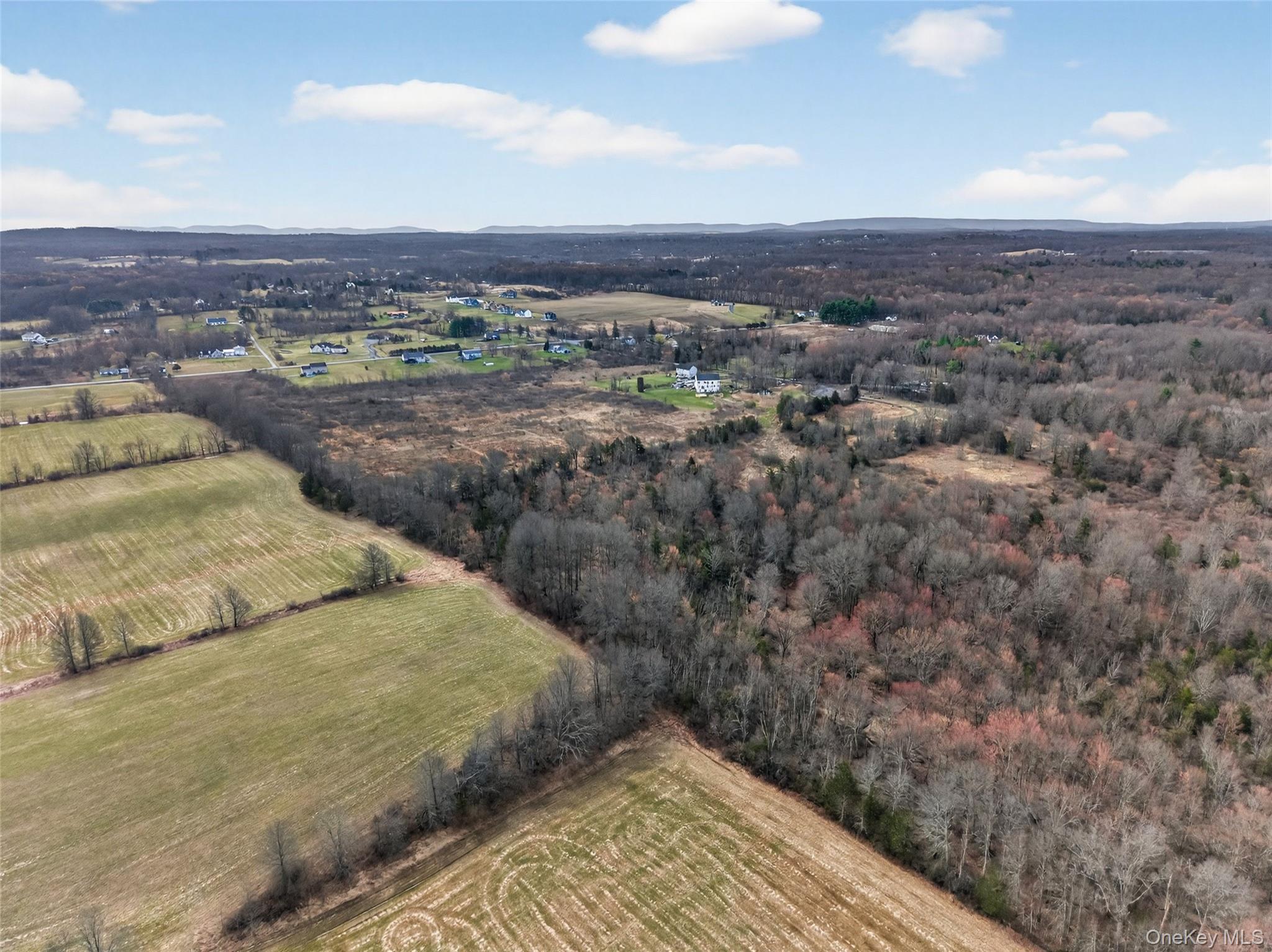 42 Wildrick Road Wallkill, NY 12589 - Photo 2 of 12