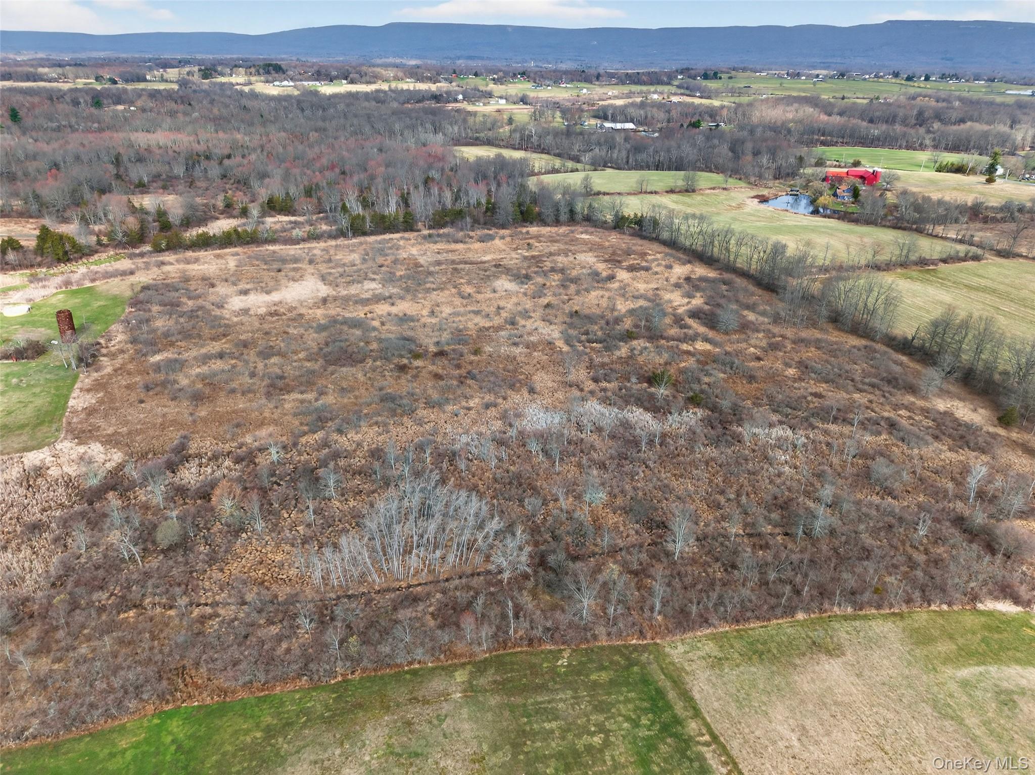 42 Wildrick Road Wallkill, NY 12589 - Photo 3 of 12