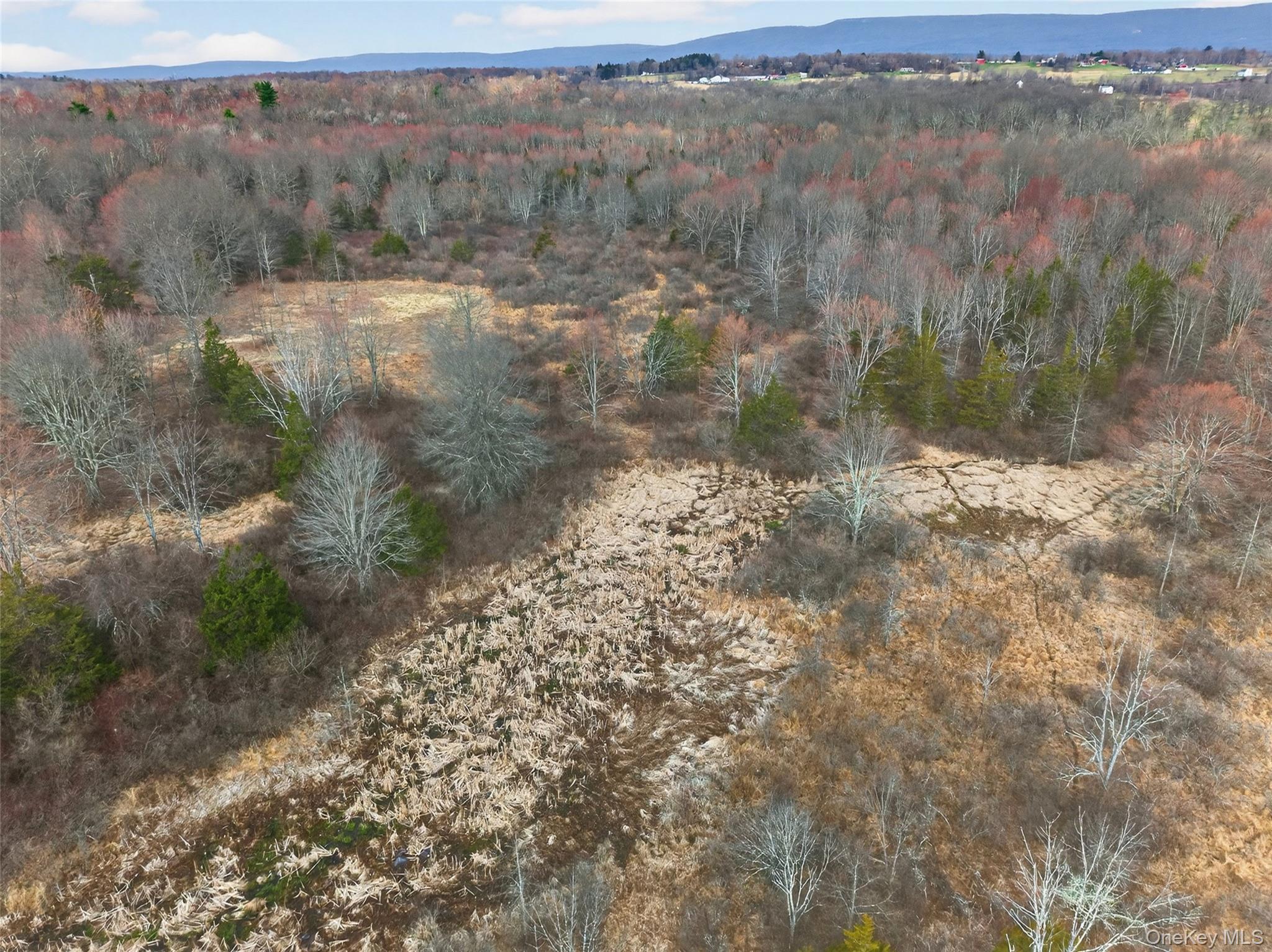 42 Wildrick Road Wallkill, NY 12589 - Photo 5 of 12