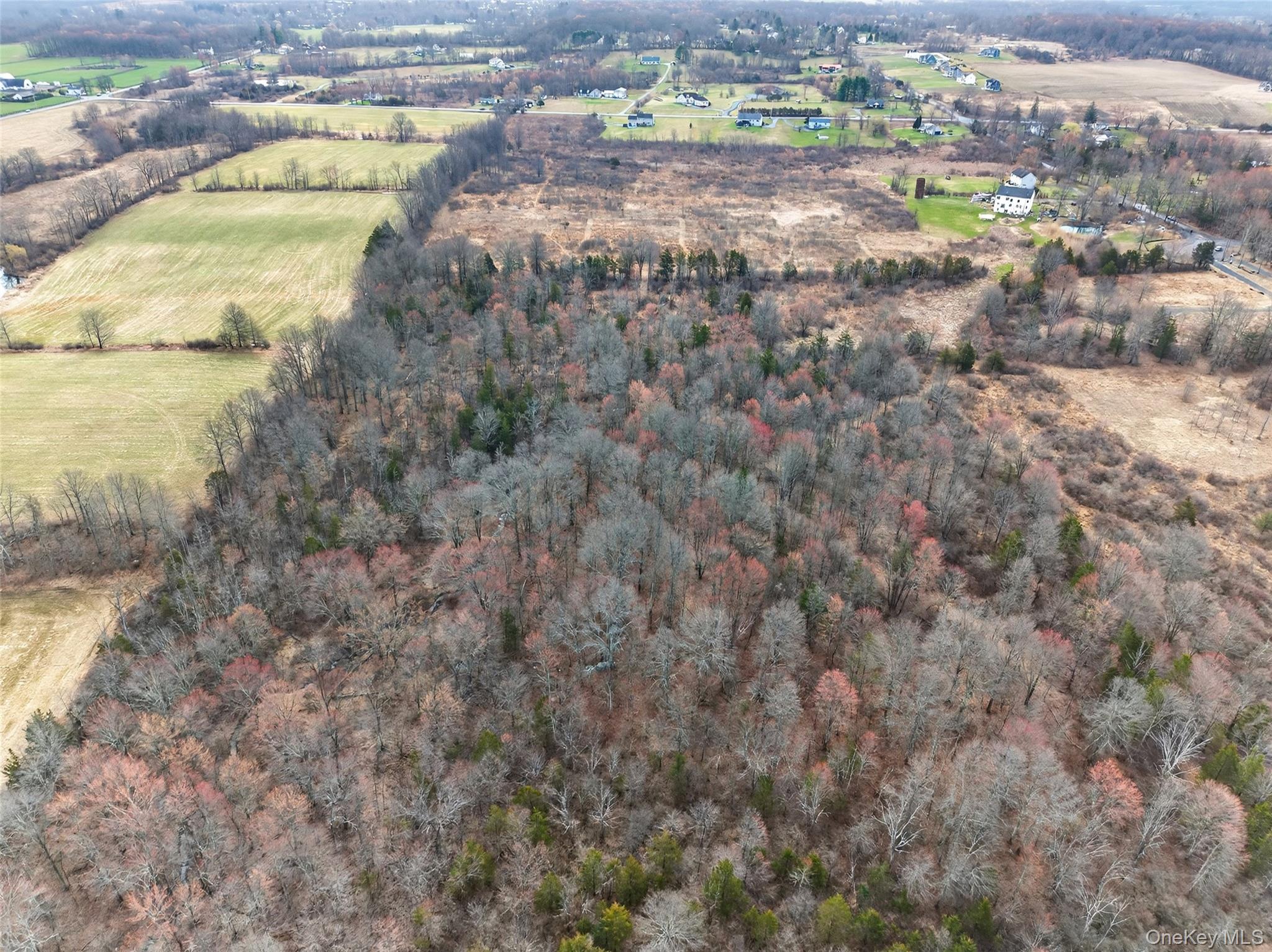 42 Wildrick Road Wallkill, NY 12589 - Photo 6 of 12