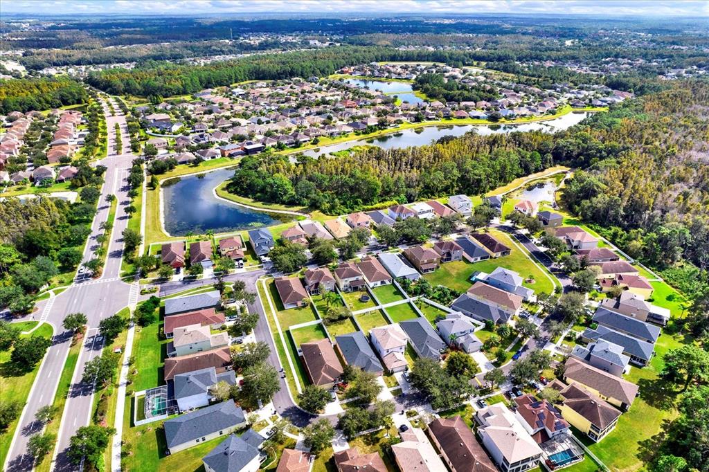 20118 Bay Cedar Avenue Tampa, FL 33647 - Photo 22 of 39