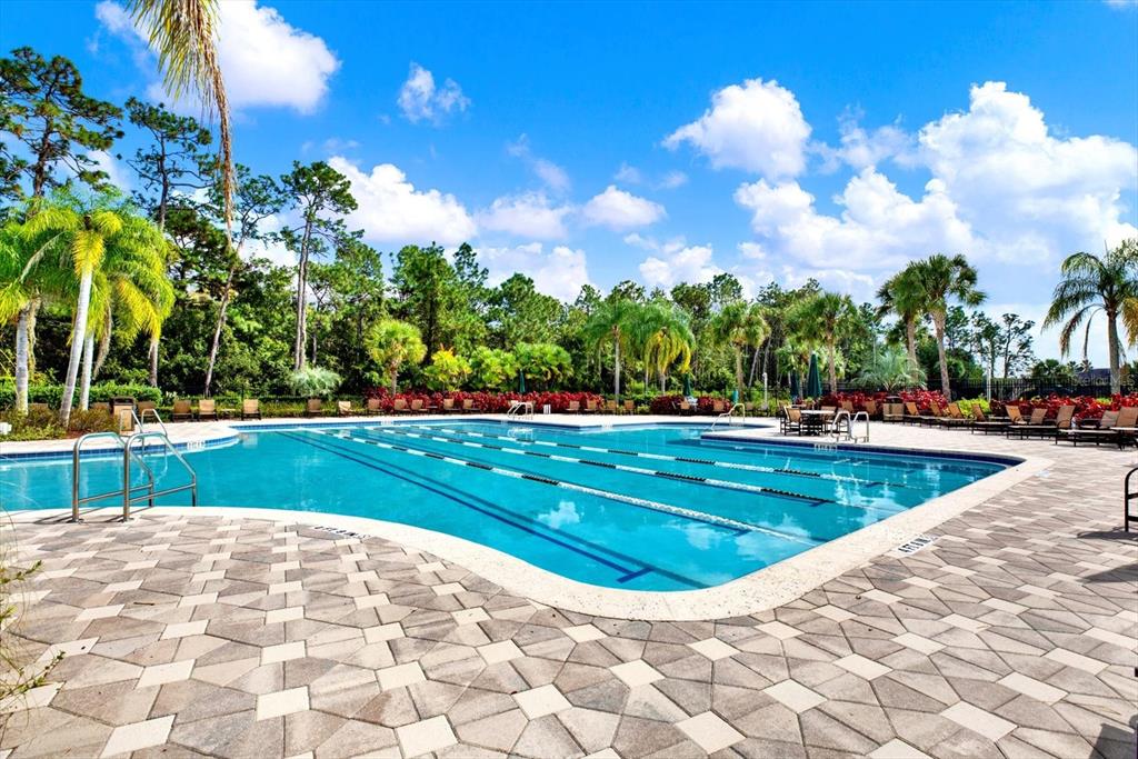 20118 Bay Cedar Avenue Tampa, FL 33647 - Photo 32 of 39