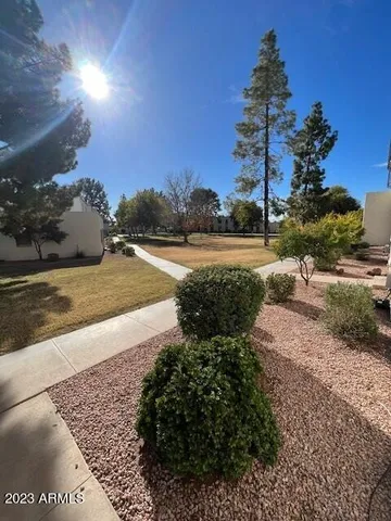 a view of a backyard