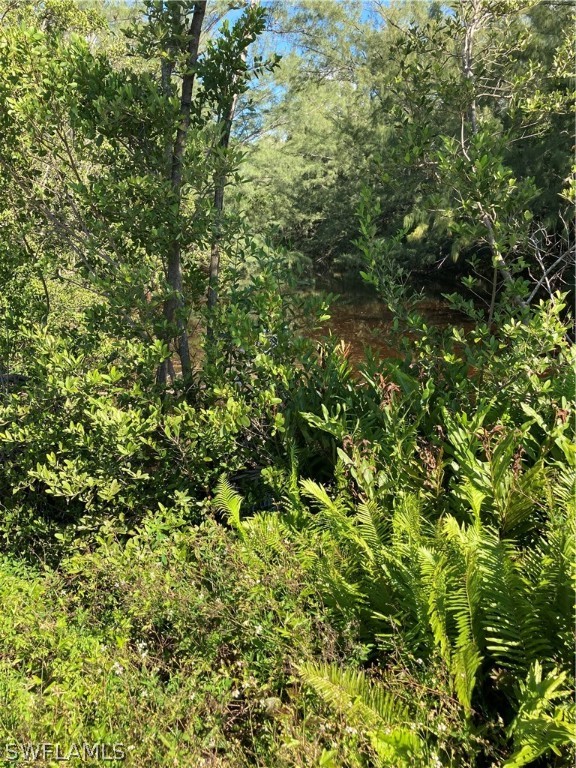 3594 Stabile Road St. James City, FL 33956 - Photo 2 of 7 a view of a lush green forest