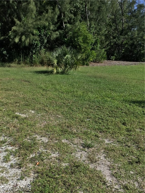 3594 Stabile Road St. James City, FL 33956 - Photo 5 of 7 a view of a green field with trees
