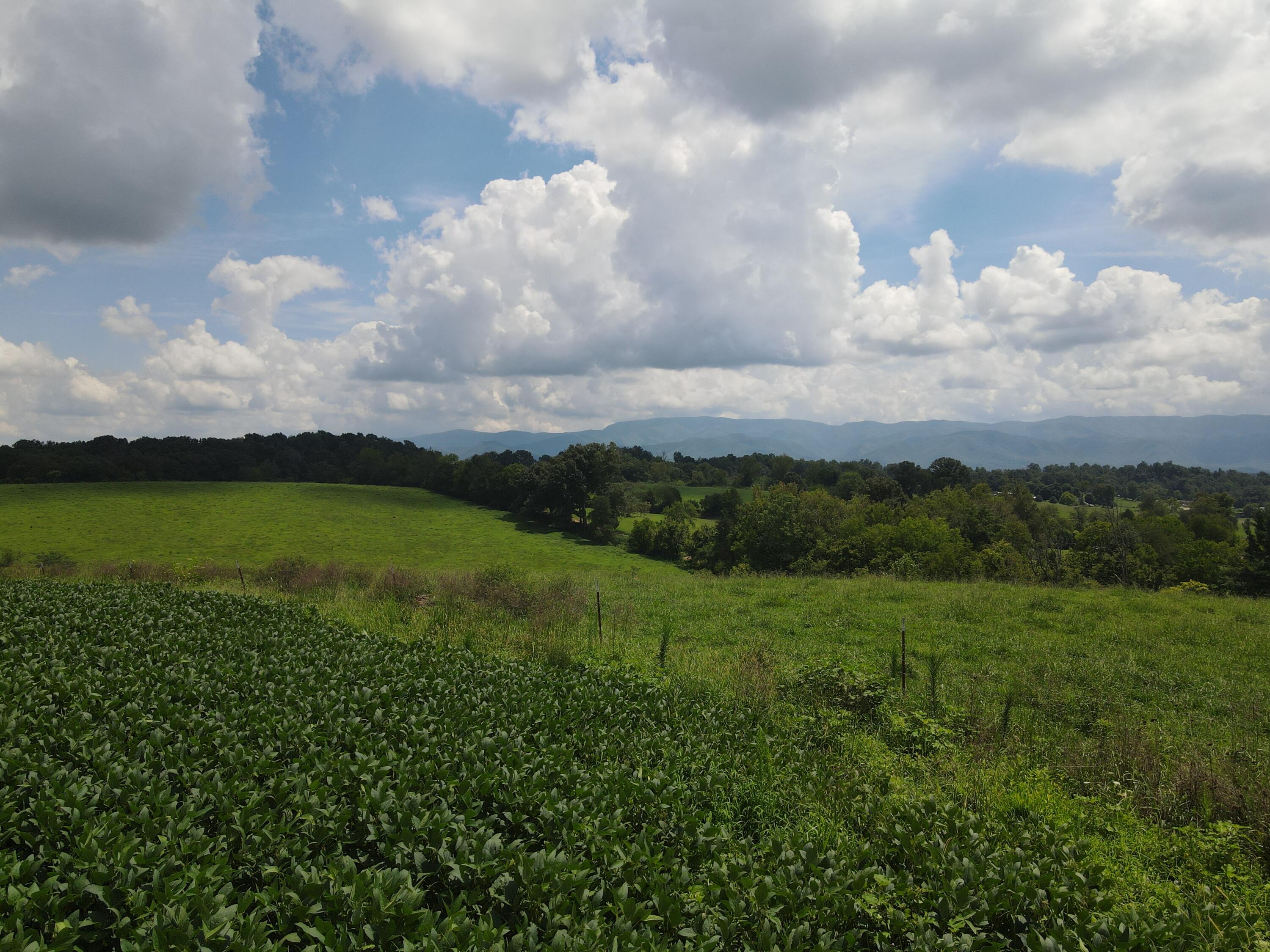 Tbd Browns Bridge Road, Unit 11 Greeneville, TN 37745 - Photo 1 of 7 DJI_0493