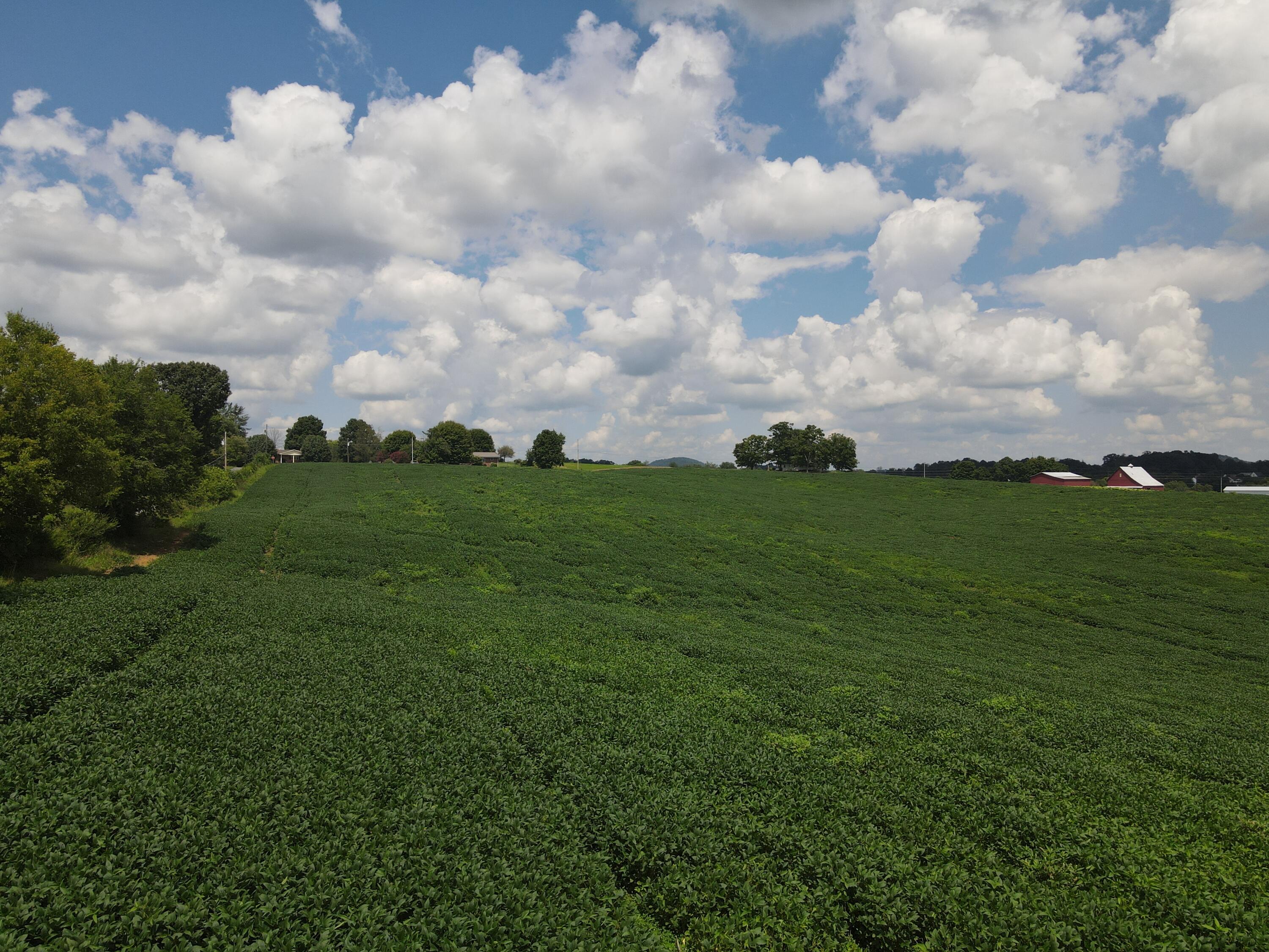 Tbd Browns Bridge Road, Unit 11 Greeneville, TN 37745 - Photo 2 of 7 DJI_0495