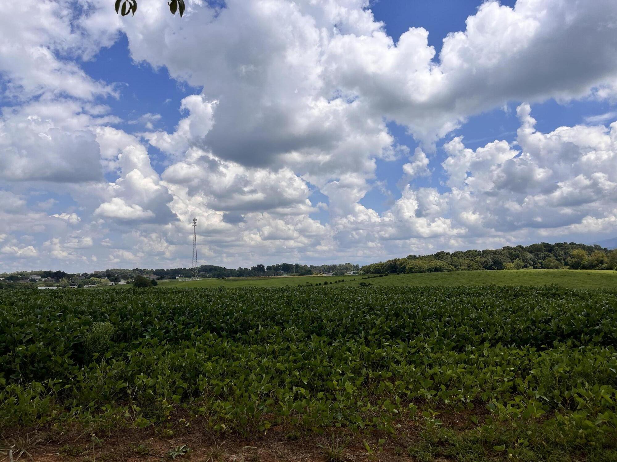 Tbd Browns Bridge Road, Unit 11 Greeneville, TN 37745 - Photo 5 of 7 DB515AF6-9AD9-4B2C-9538-754F8F46506E
