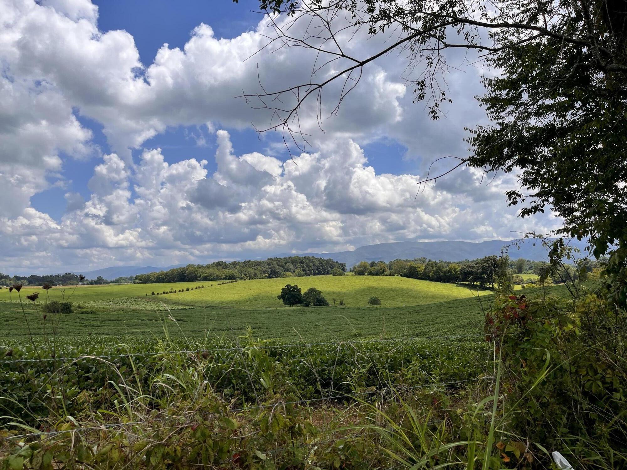 Tbd Browns Bridge Road, Unit 11 Greeneville, TN 37745 - Photo 7 of 7 67DA380B-2790-4E8E-8F69-E8B7E2910A86