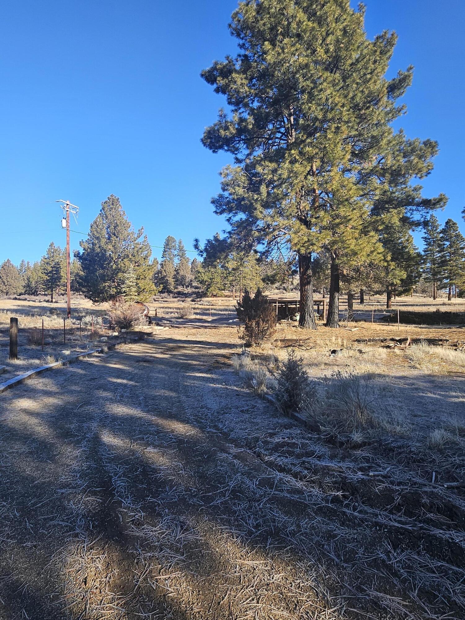 31747 Godowa Springs Road Beatty, OR 97621 - Photo 16 of 23 20260117_094312