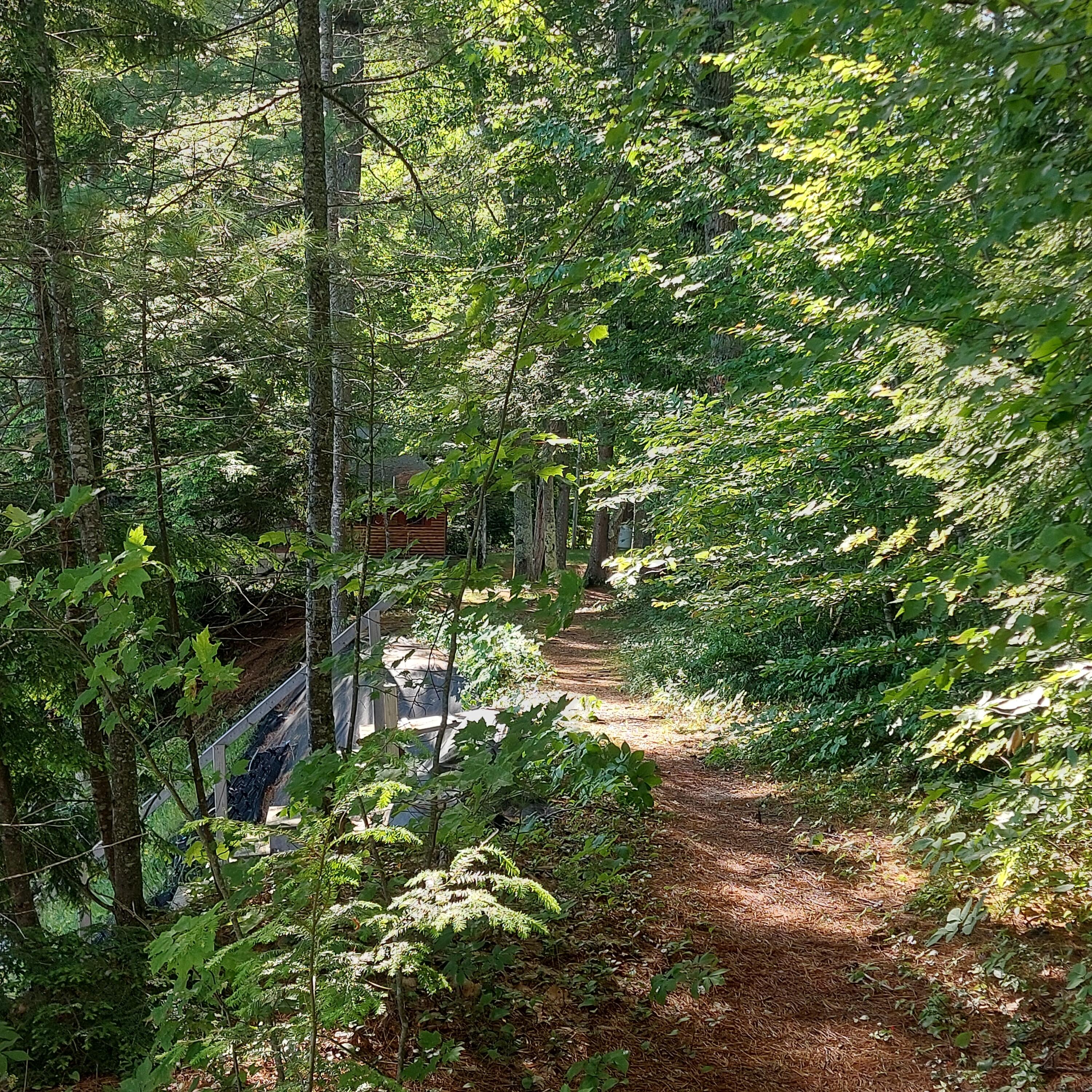 Lot 25 Sokokis Road Sebago, ME 04029 - Photo 11 of 29 springlanewalkway