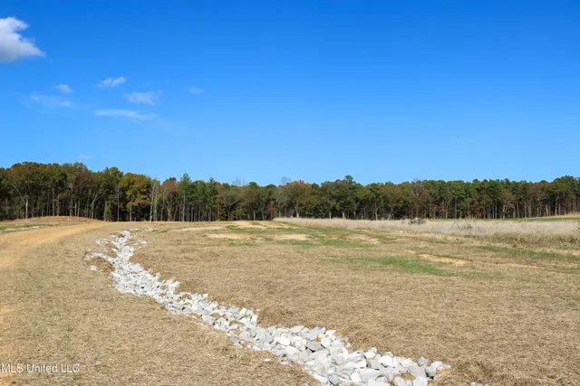 $40,900 | 8 Hugh White State Pk Road, Grenada, MS 38901