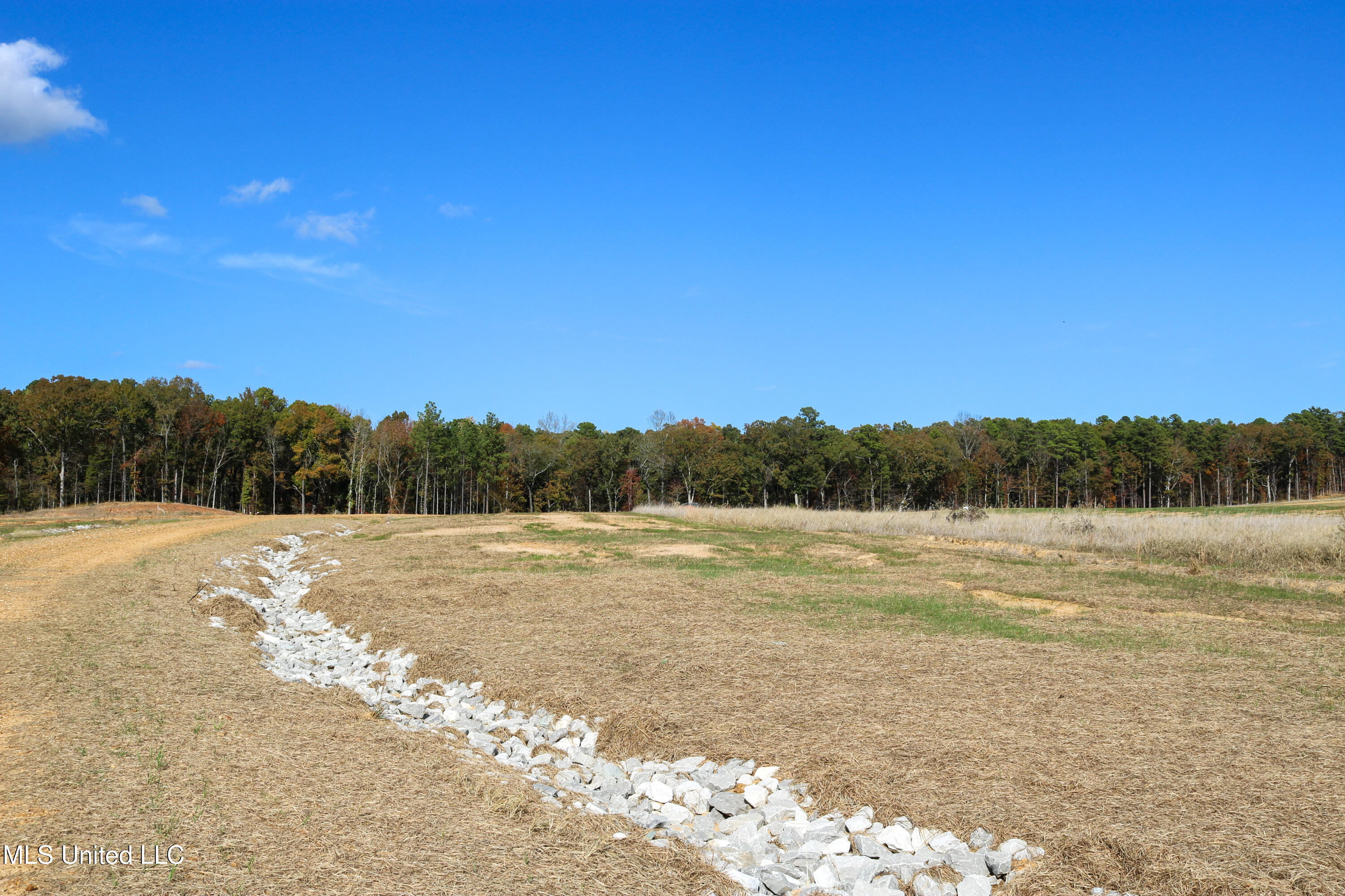 8 Hugh White State Pk Road Grenada, MS 38901 - Photo 2 of 10 Tract 8 Hugh White State Park Road-2