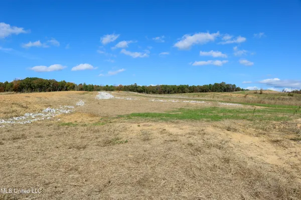 $39,900 | 8 Hugh White State Pk Road, Grenada, MS 38901