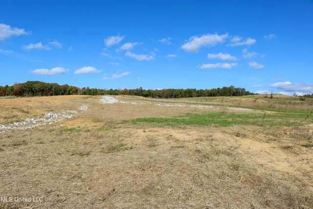 $40,900 | 8 Hugh White State Pk Road, Grenada, MS 38901