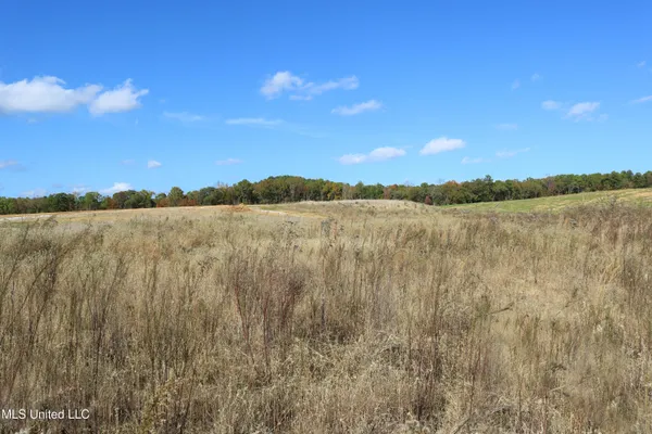 $39,900 | 8 Hugh White State Pk Road, Grenada, MS 38901