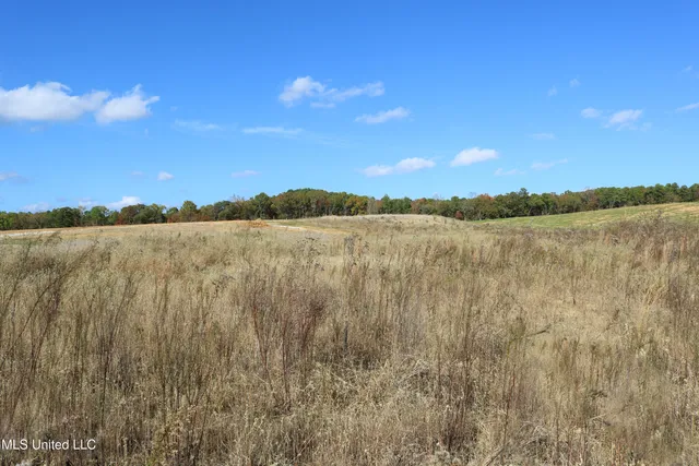 $40,900 | 8 Hugh White State Pk Road, Grenada, MS 38901