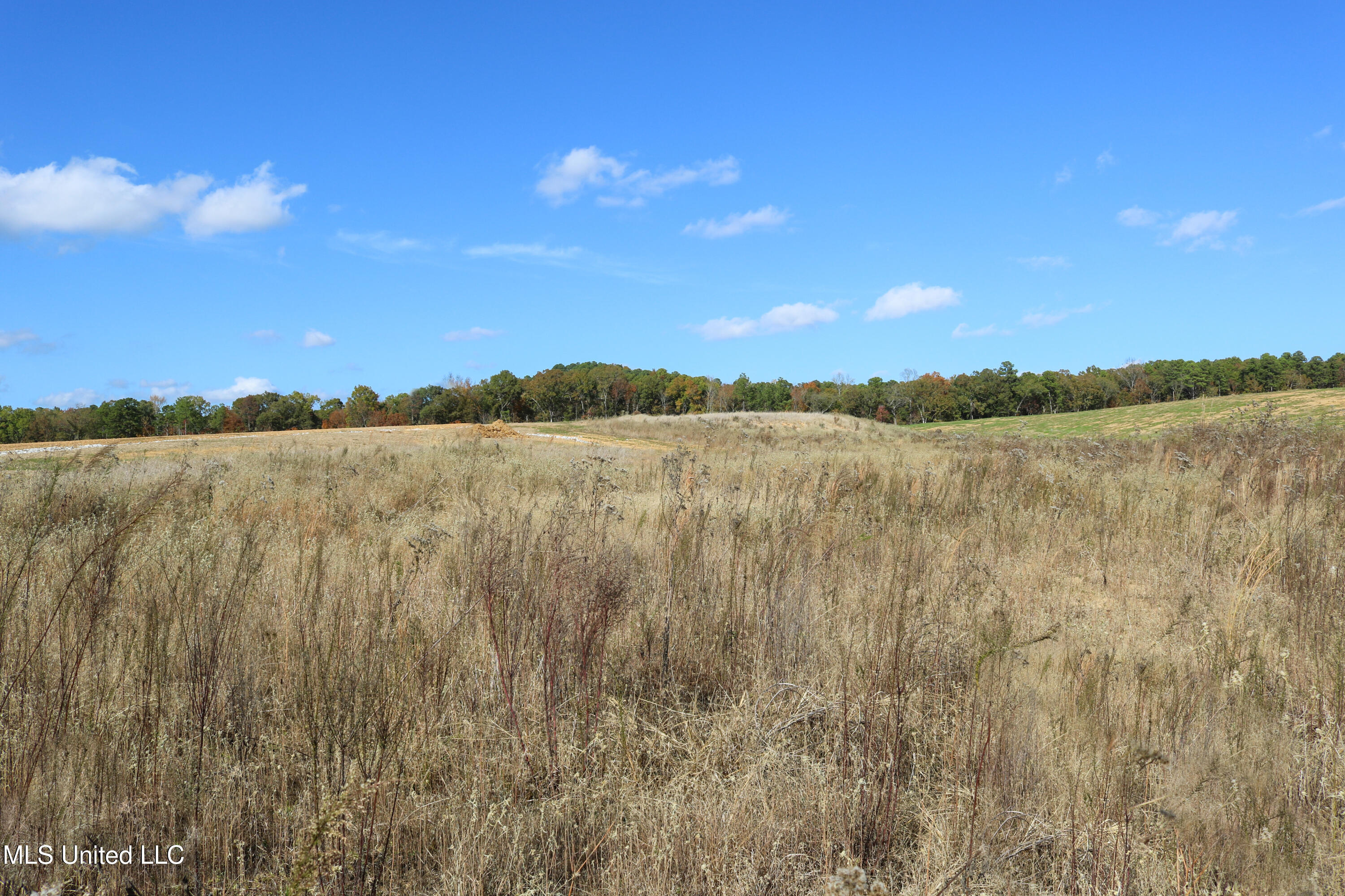 8 Hugh White State Pk Road Grenada, MS 38901 - Photo 4 of 10 Tract 8 Hugh White State Park Road-4