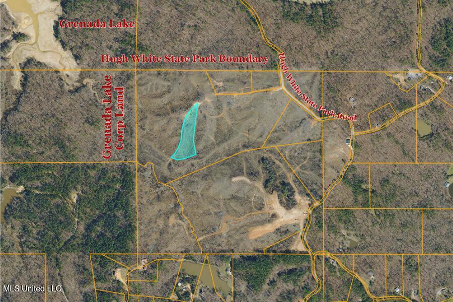 8 Hugh White State Pk Road Grenada, MS 38901 - Photo 6 of 10 6