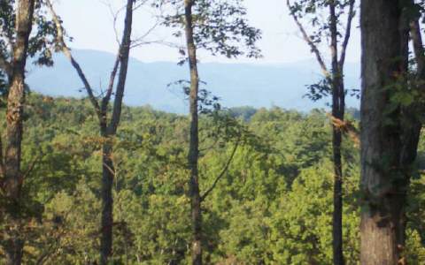 Lot17 Lot17 Deer Ridge Murphy, NC 28906 - Photo 1 of 1 Main View