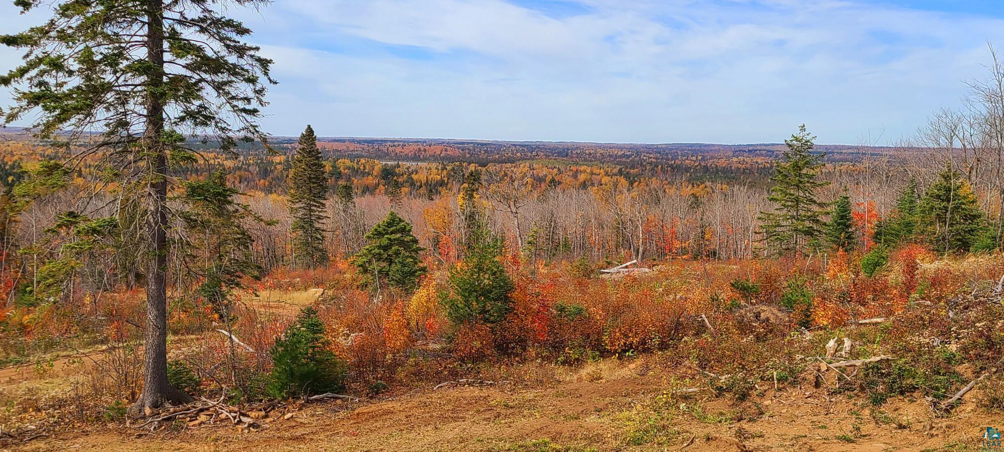 5241 Hut Two Road Finland, MN 55603 - Photo 12 of 30