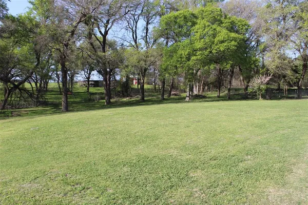 a view of a field with trees