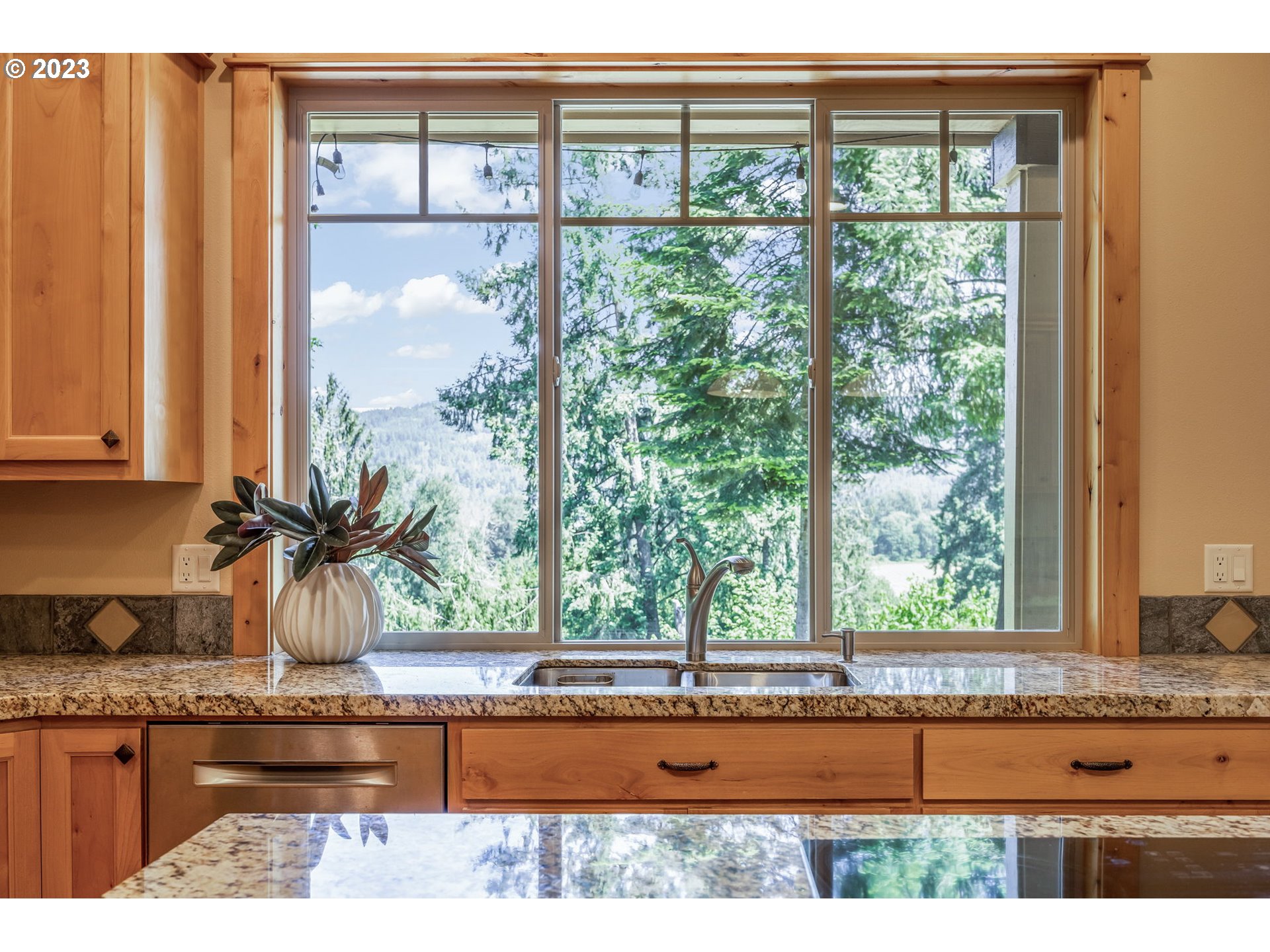 40091 Deerhorn Road Springfield, OR 97478 - Photo 19 of 46 a kitchen with a window and a sink