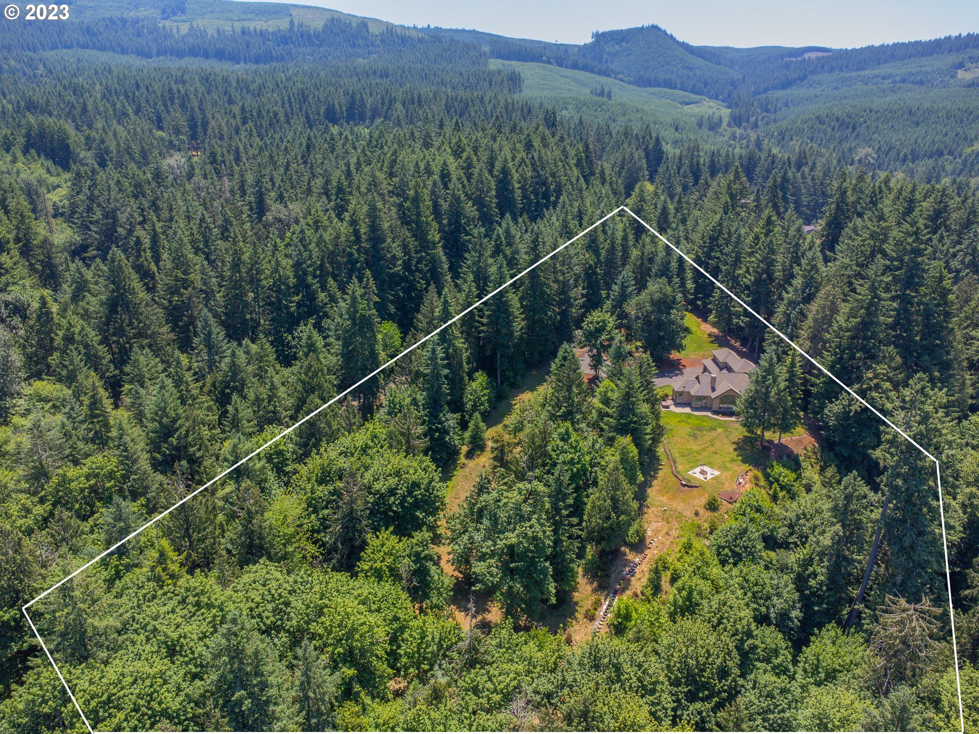40091 Deerhorn Road Springfield, OR 97478 - Photo 46 of 46 a view of a forest with a lush green forest