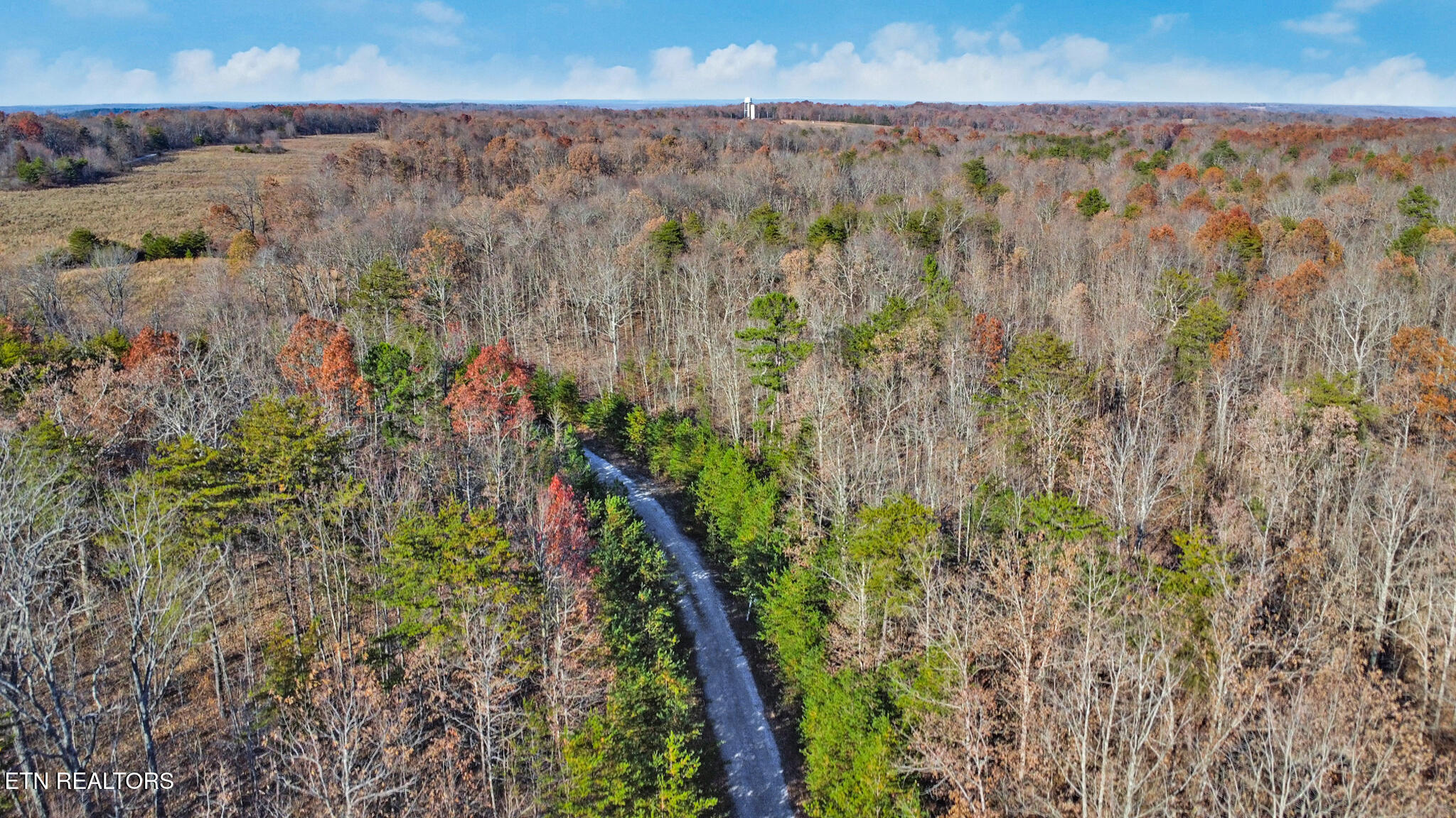 0 Maple Lane Pikeville, TN 37367 - Photo 12 of 17 dji_0443-dji_0445