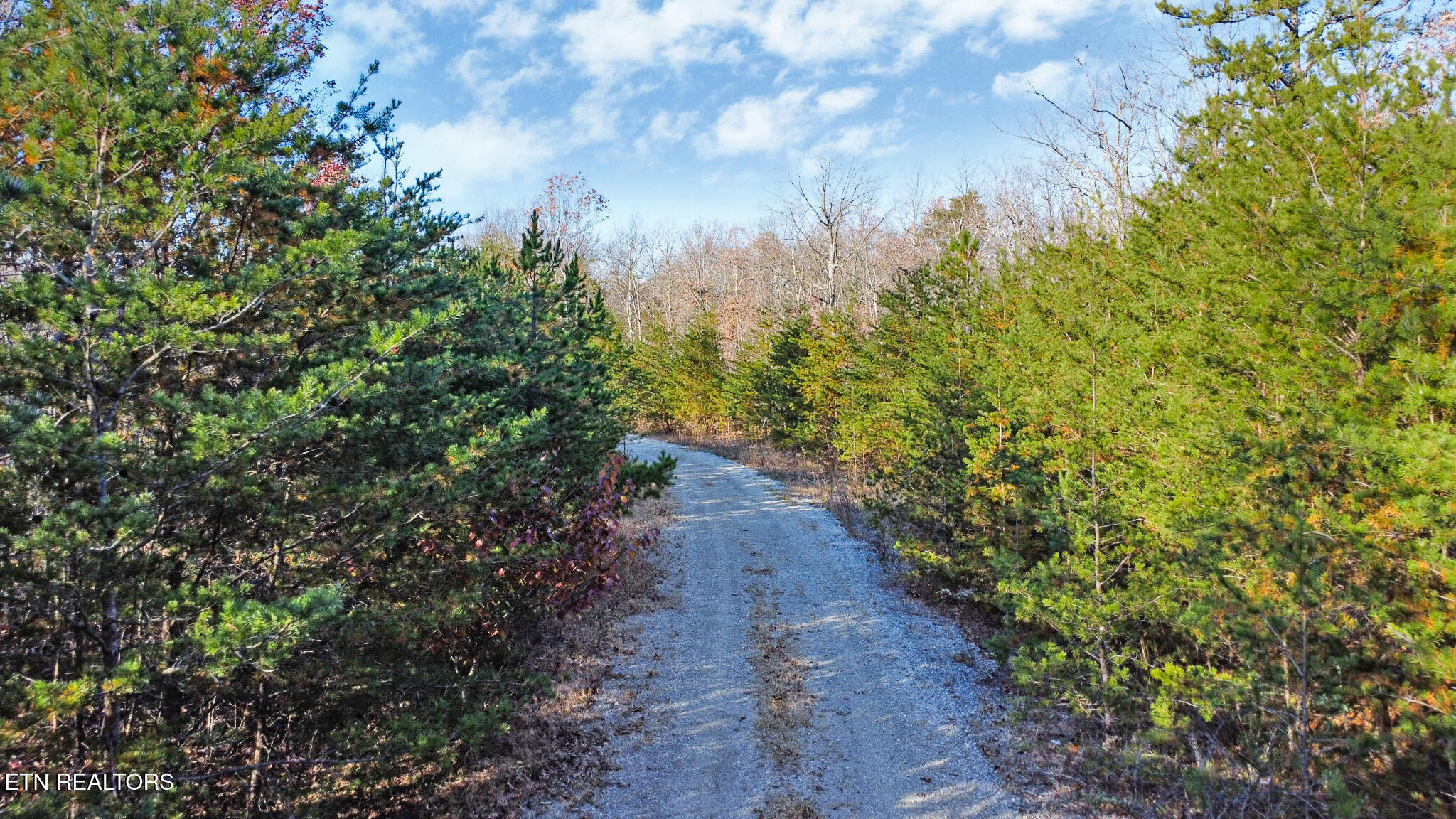0 Maple Lane Pikeville, TN 37367 - Photo 13 of 17 dji_0446-dji_0448